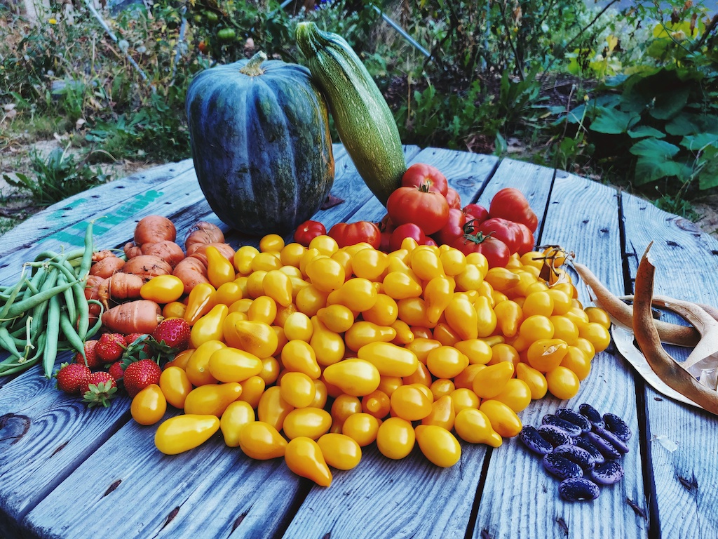 Pendant ce temps, au jardin…